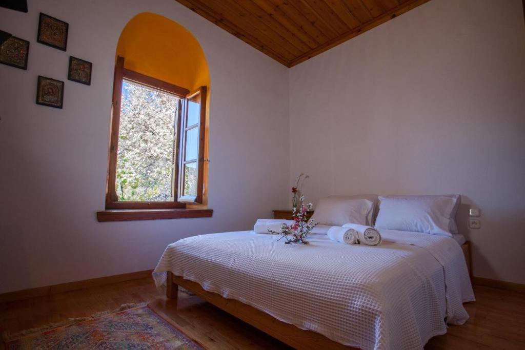Eremia Rustic House - Entire Villa In Pelion Makrinitsa Ngoại thất bức ảnh