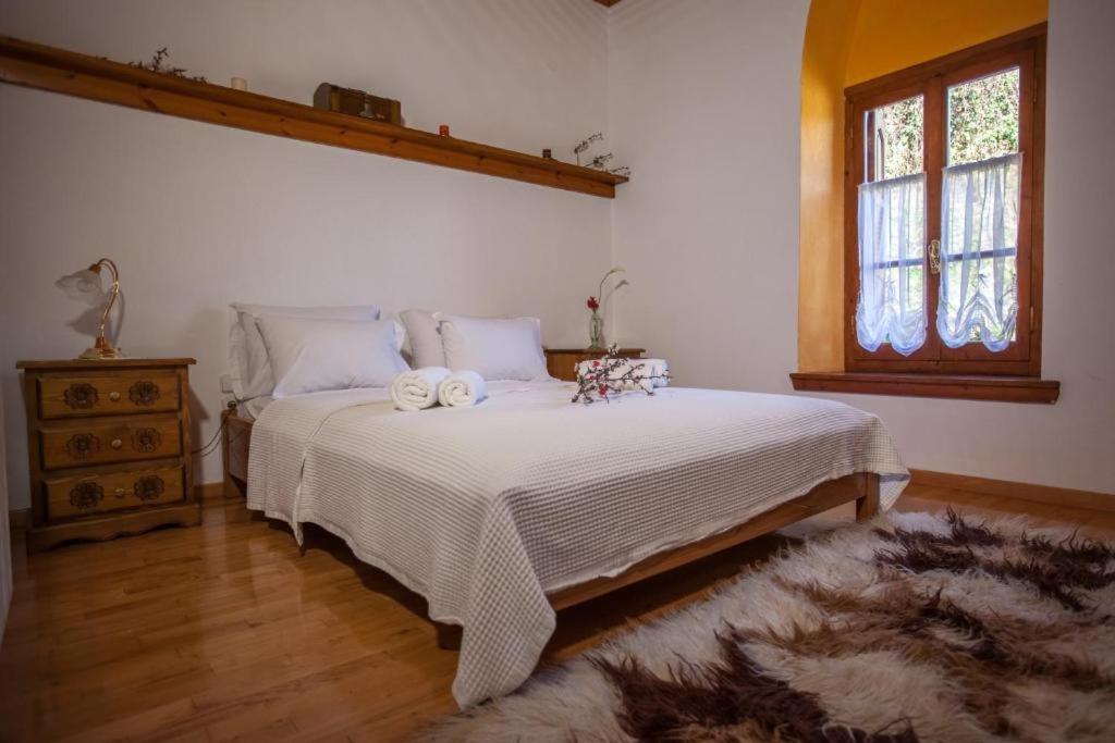 Eremia Rustic House - Entire Villa In Pelion Makrinitsa Ngoại thất bức ảnh
