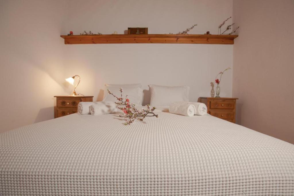 Eremia Rustic House - Entire Villa In Pelion Makrinitsa Ngoại thất bức ảnh