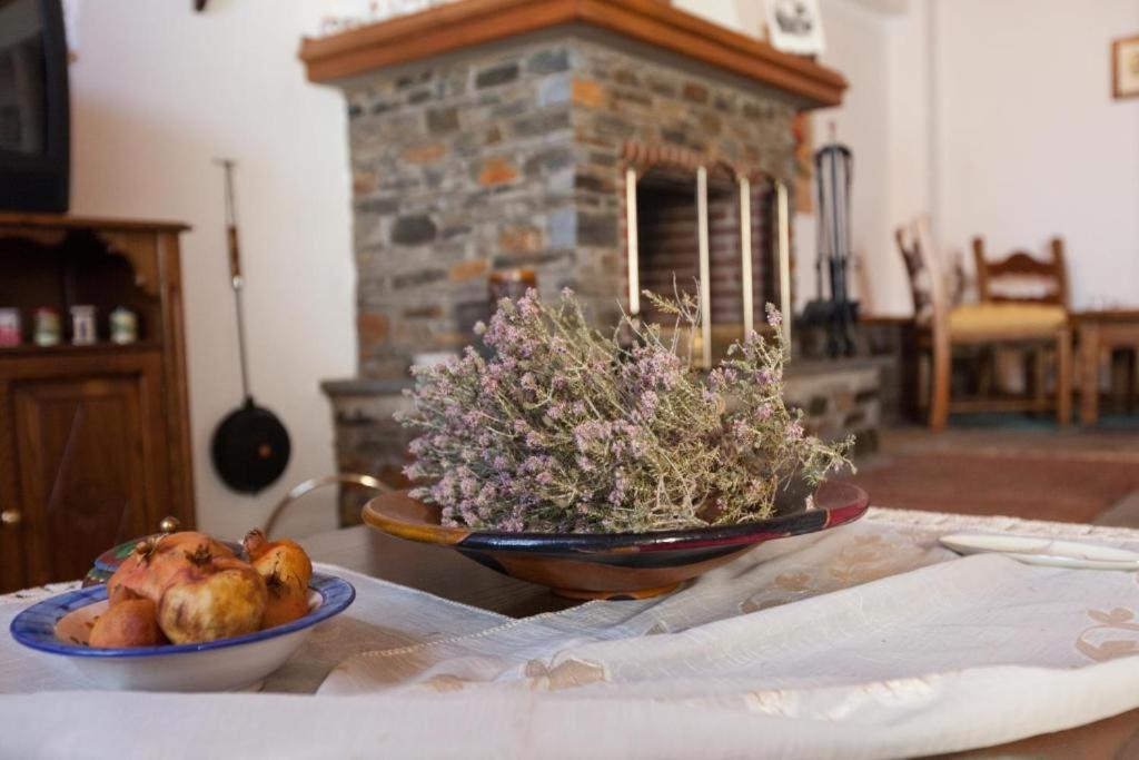 Eremia Rustic House - Entire Villa In Pelion Makrinitsa Ngoại thất bức ảnh
